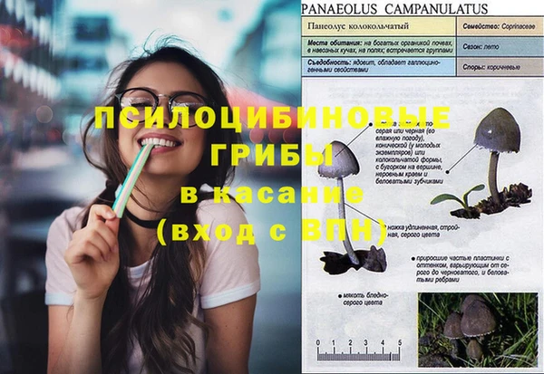 Альфа ПВП Вяземский