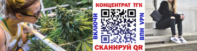 гидра tor  Балтийск  ТГК концентрат 