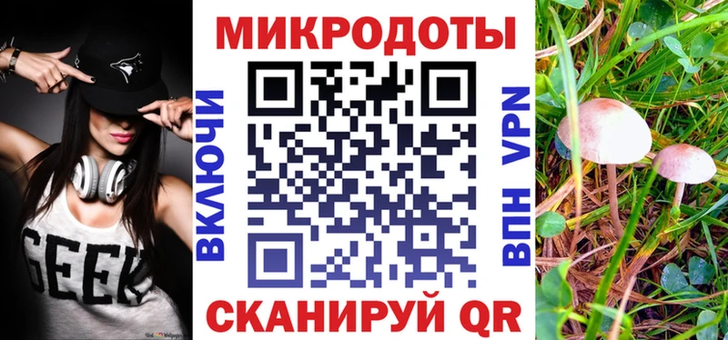 Галлюциногенные грибы Magic Shrooms  где найти наркотики  Балтийск 